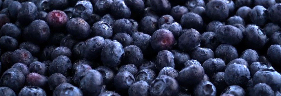 blueberries