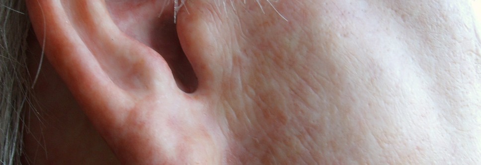 fredriksen ear