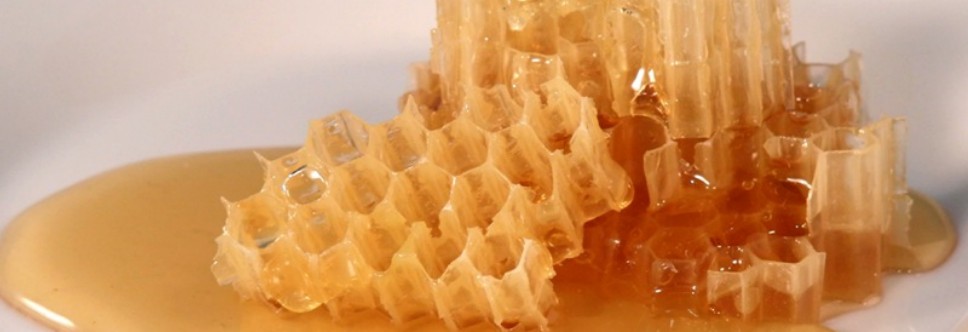 honeycomb_800px_wide