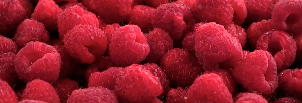 raspberries