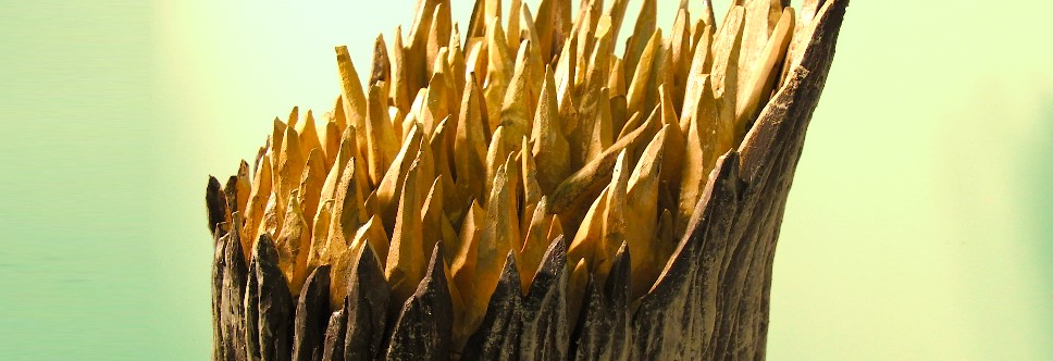 tree stump_BANNER